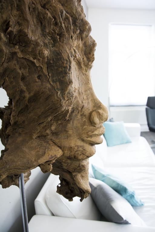 Entre Deux Pays Apartments Spa Rom bilde